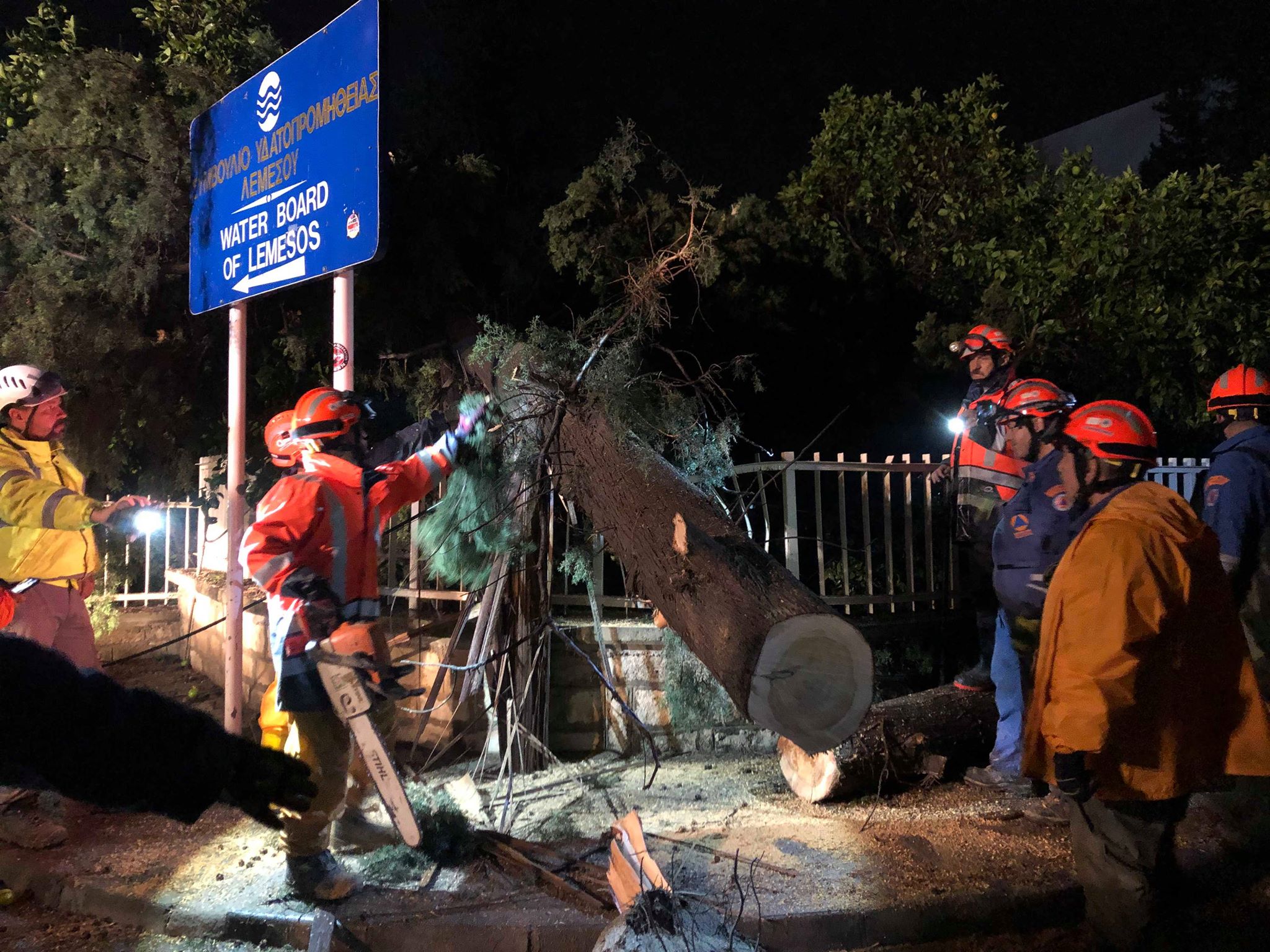 πτώση δέντρου Λεμεσός 23 10 2019