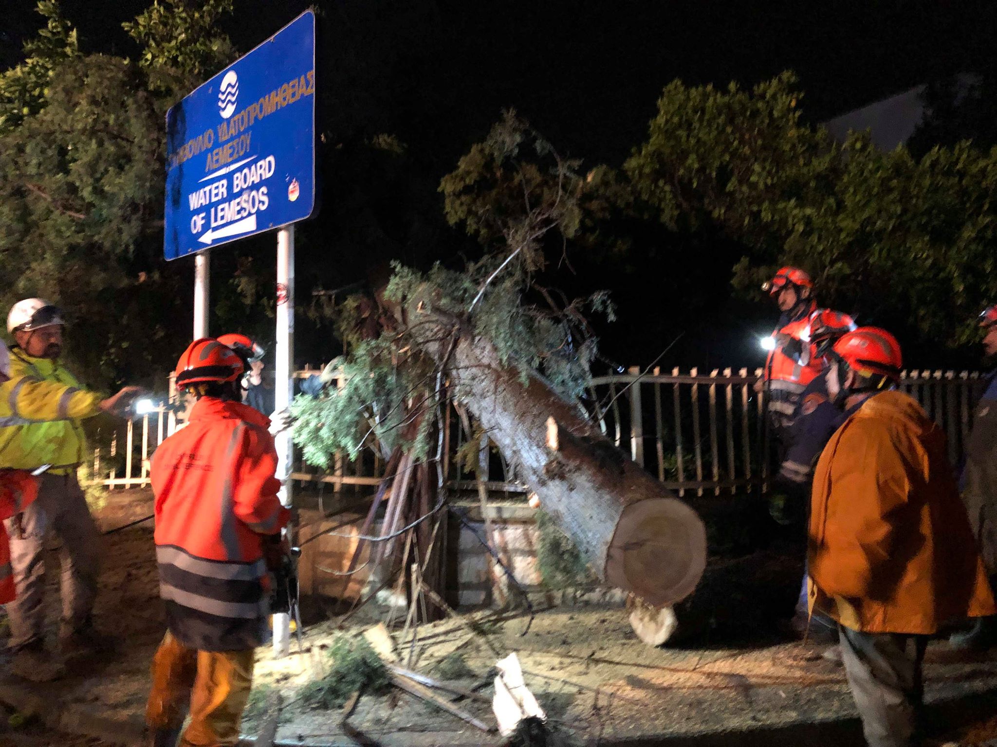 πτώση δέντρου Λεμεσός 23 10 2019