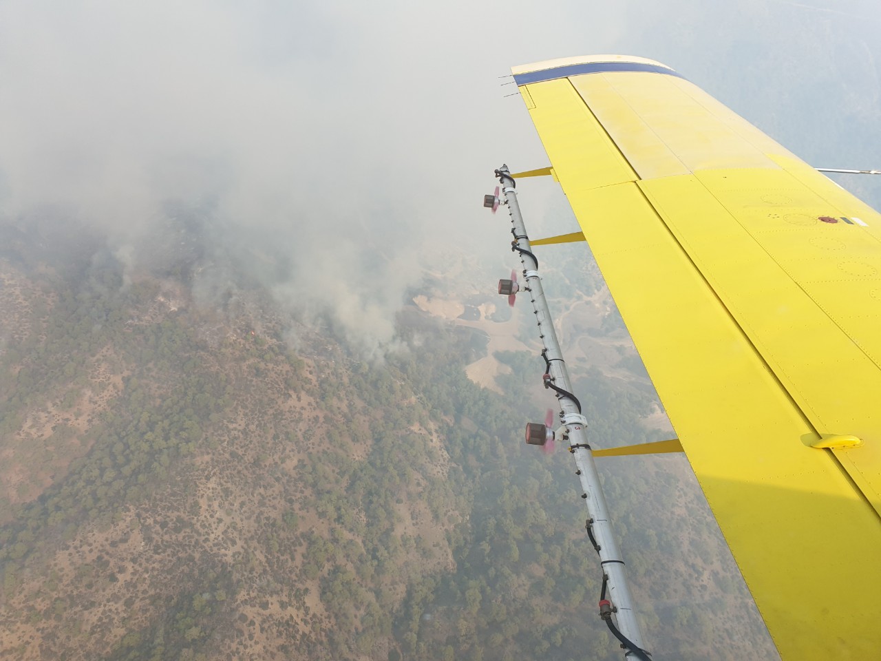 τμήμα δασών φωτογραφία πυρκαγιά 13 11 2019 α