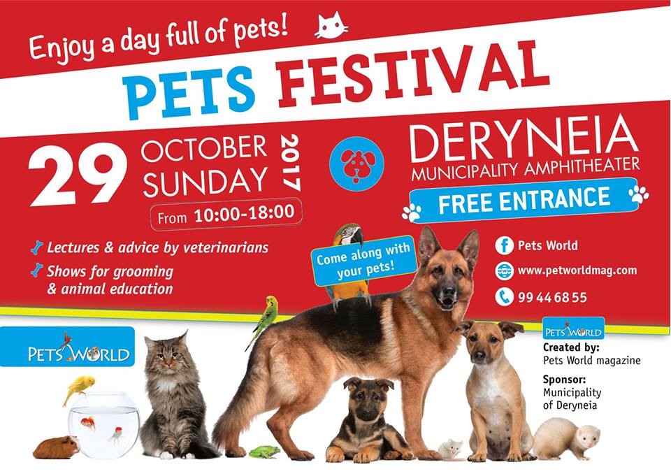 PETS FESTIVAL