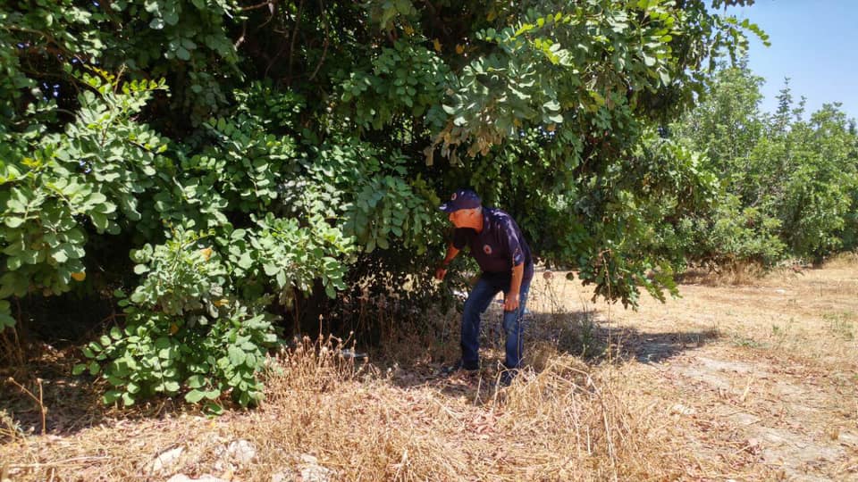 ΠΟΛΙΤΙΚΗ ΑΜΥΝΑ