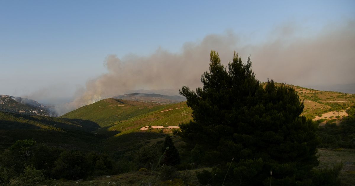 κκκκ