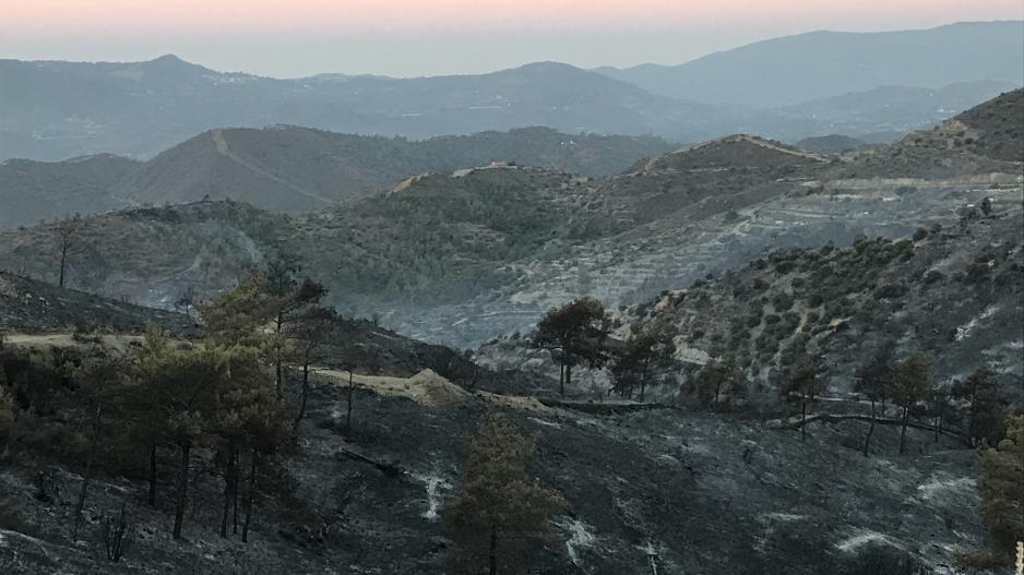 Μικρογραφία