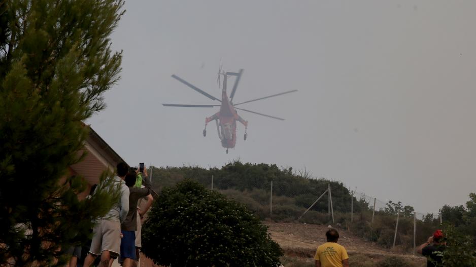 Μικρογραφία