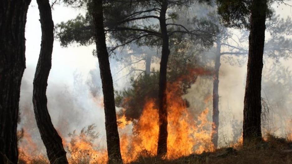 Μικρογραφία