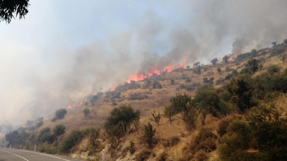 Μικρογραφία