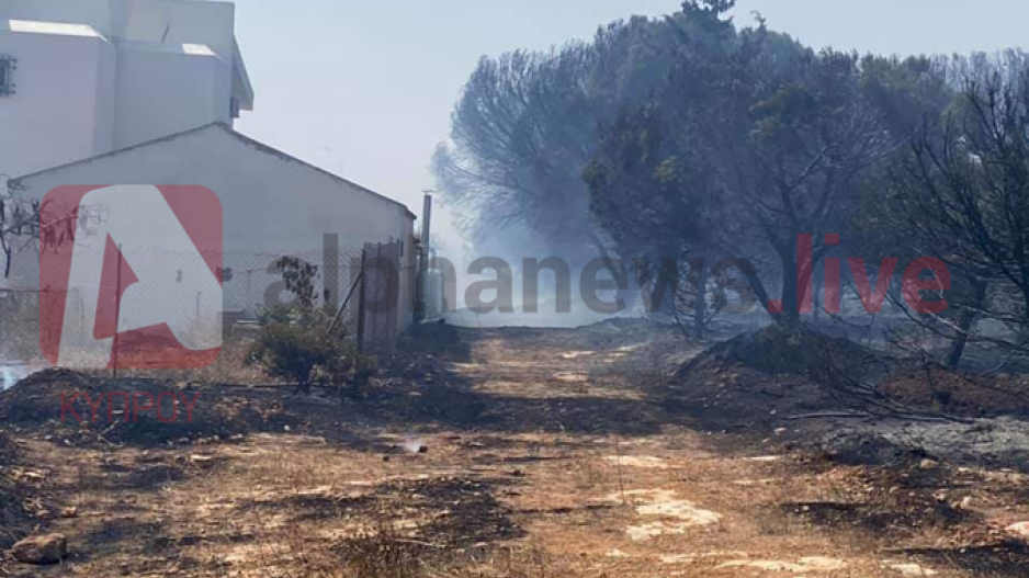 Μικρογραφία