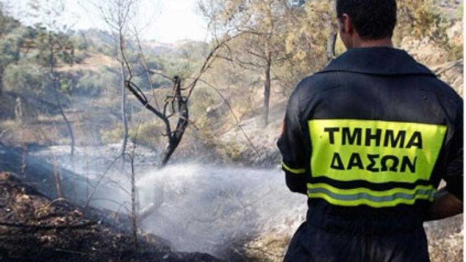 Μικρογραφία