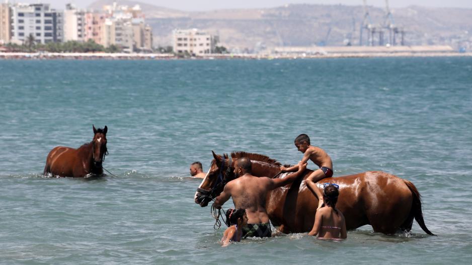 Μικρογραφία