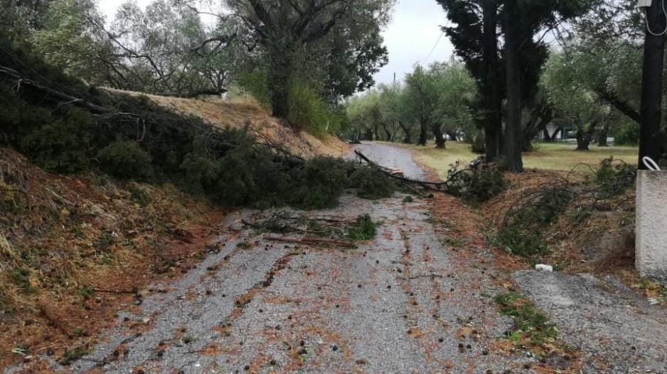 Μικρογραφία