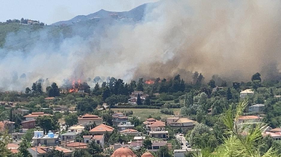 Μικρογραφία