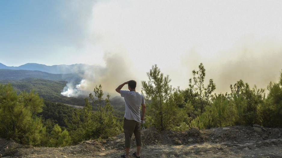 Μικρογραφία