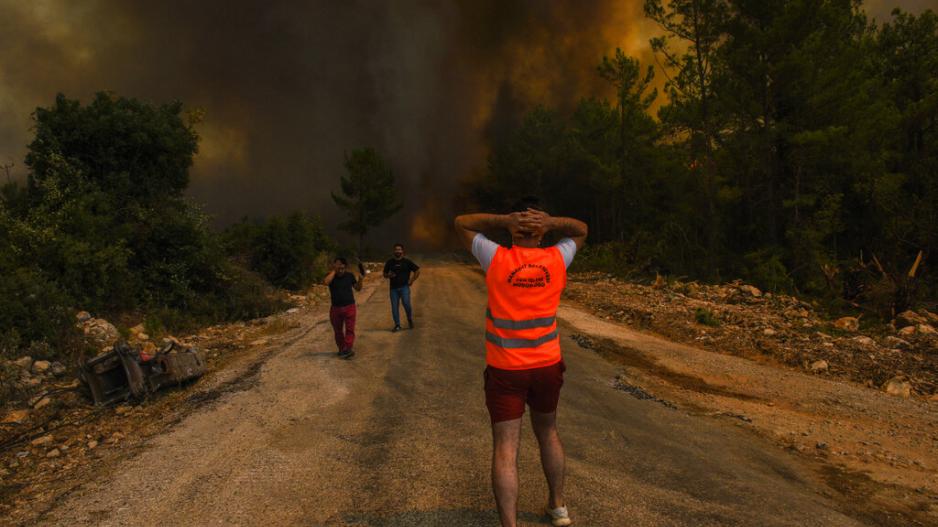 Μικρογραφία