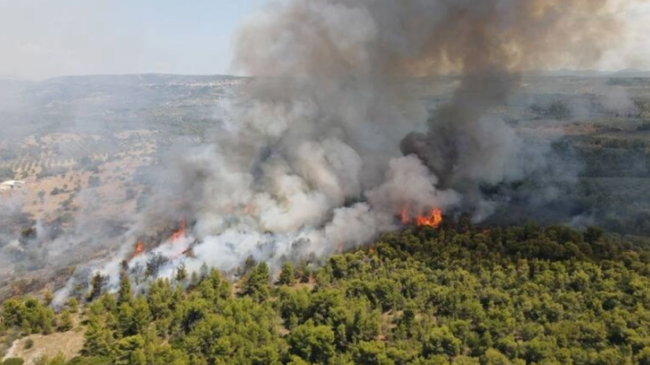 Μικρογραφία