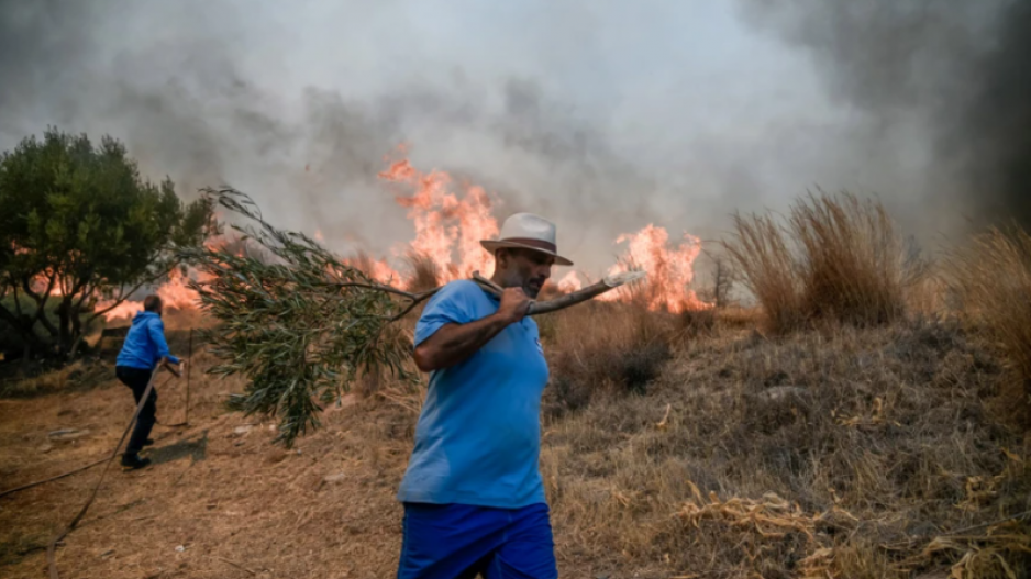 Μικρογραφία