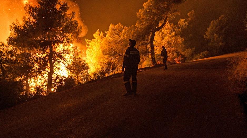 Μικρογραφία