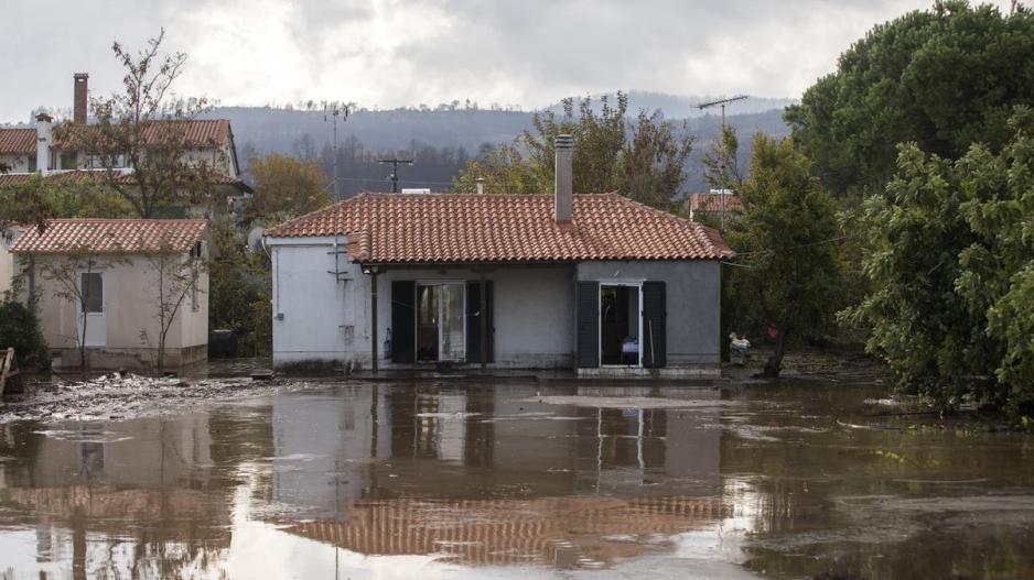 Μικρογραφία