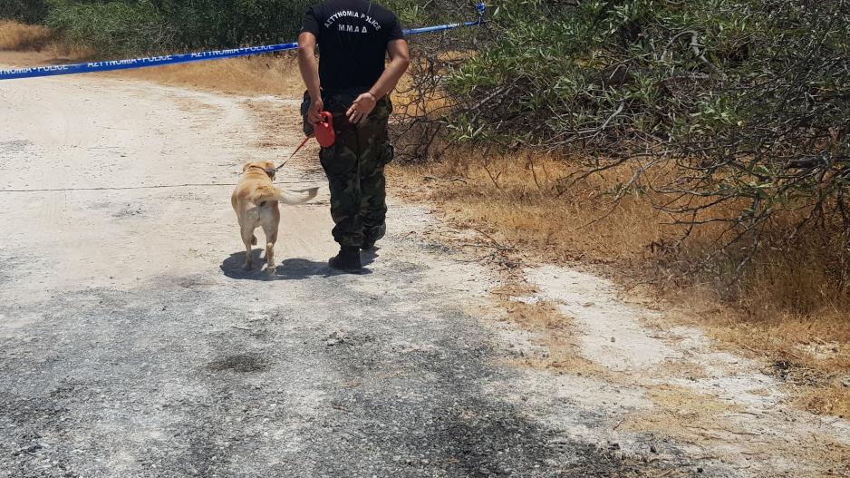 Μικρογραφία