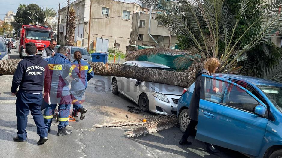 Μικρογραφία