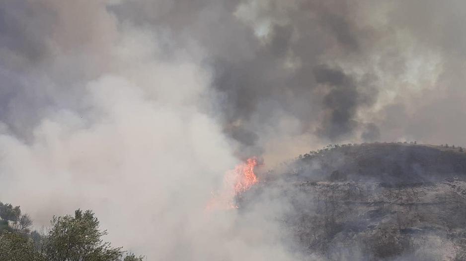 Μικρογραφία