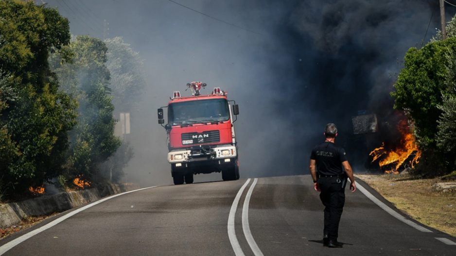 Μικρογραφία