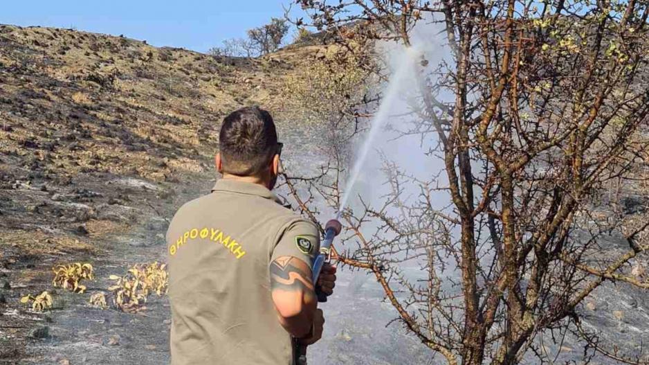 Μικρογραφία