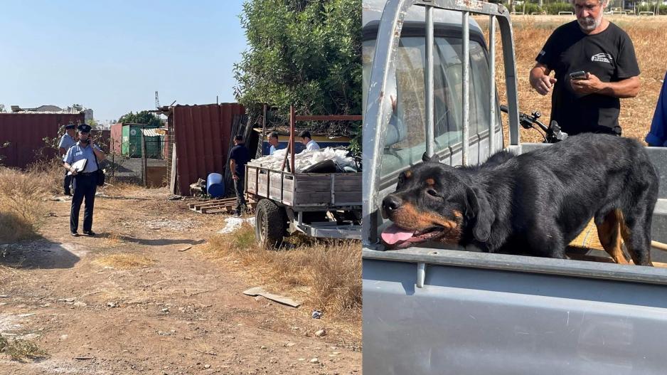 Μικρογραφία