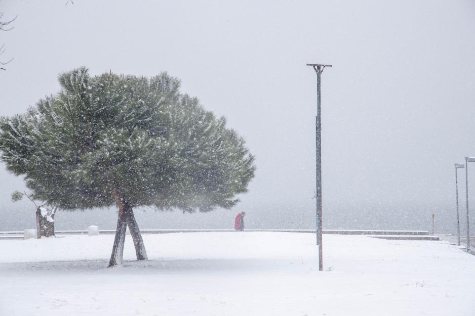 Μικρογραφία